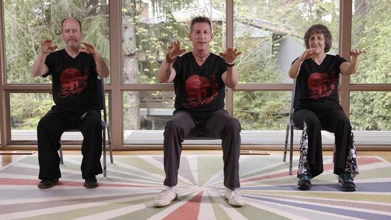 shibashi tai chi qigong 18 movements