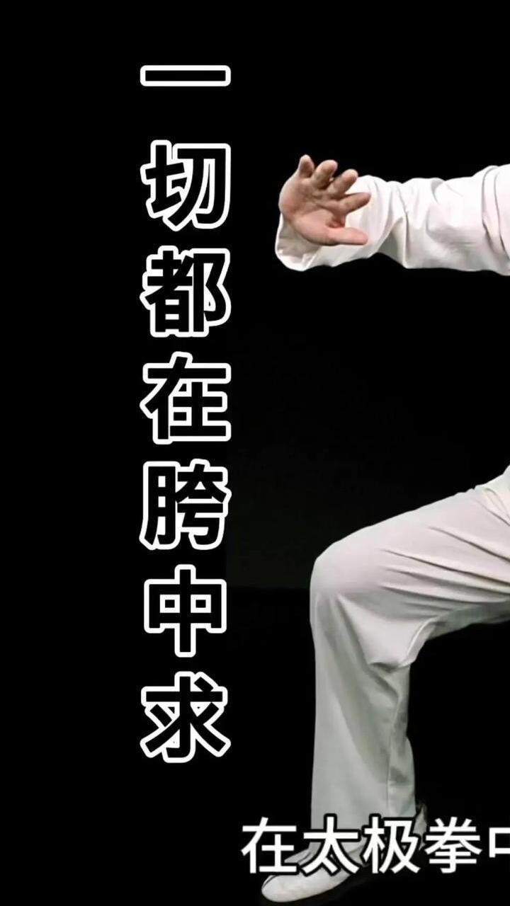 tai chi 48